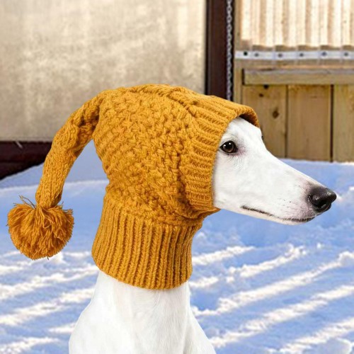 Bonnet pour chien bandeau - bonnet, chien,