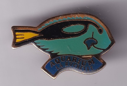 Rare pins pin - rare, pin's