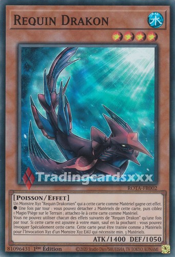 Requin drakon sr - requin, :