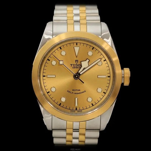 Tudor montre black bay - tudor,