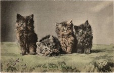 PC CATS LA FAMILLE MISTIGRI (a2089)