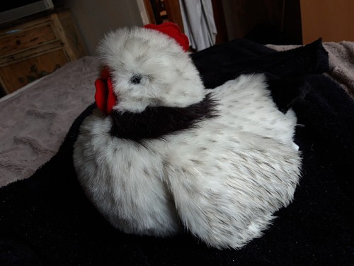 Dda peluche poule blanche - poule,