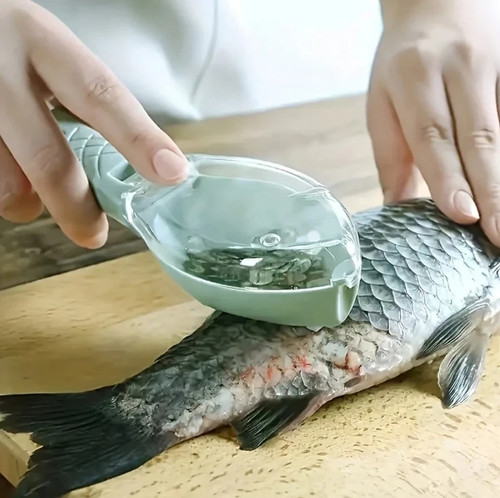 écailleur poisson outil - écailleur,