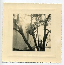 PHOTO ORIGINALE GUERRE D'