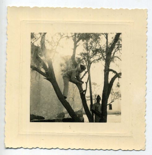 Photo originale guerre - guerre, d'