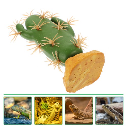 Accessoires pour reptiles - pour,