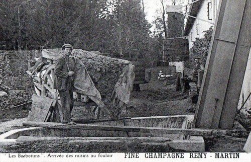 Cpa fine champagne - cpa, 16