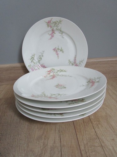 Assiettes plates limoges - 6,
