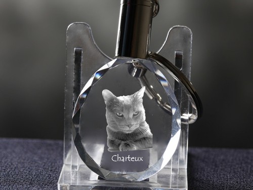 Chartreux chat cristal rond - chartreux,,
