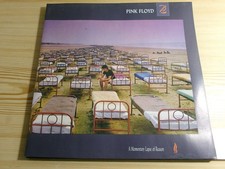 Pink Floyd à Momentary Lapse