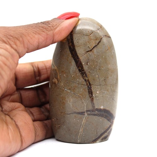 Septaria naturelle - , de