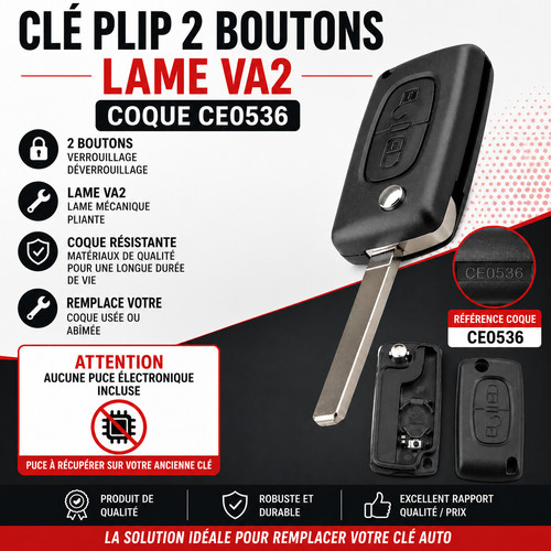 Boîtier télécommande clé