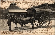 CPA AK LA CHARETTE A BOEUFS VIETNAM INDOCHINA (1439540)