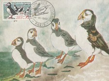 CARTE MAXIMUM 1ER JOUR -