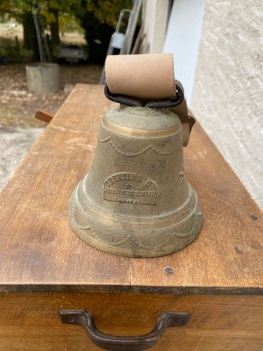 Cloche bronze pour - bronze, animaux