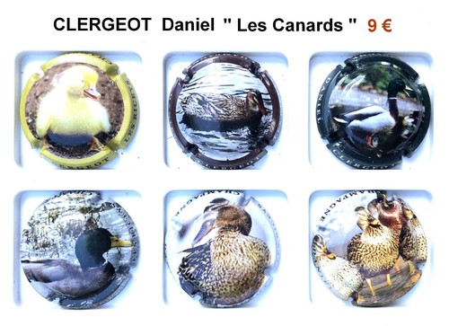 Capsules champagne - ,