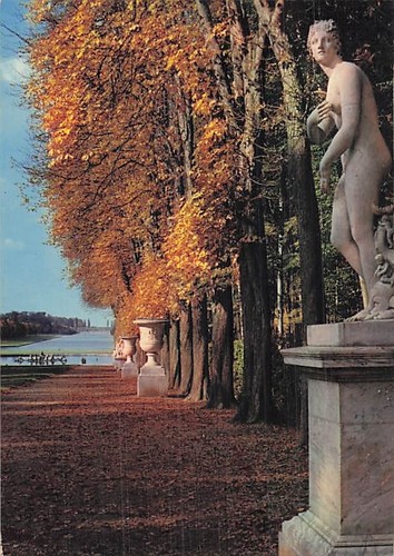 Versailles tapis vert - le,