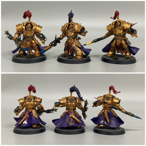 Squadron adeptus custodes - squadron,