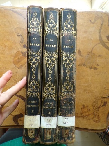 10341 bible ancien testament - bible,