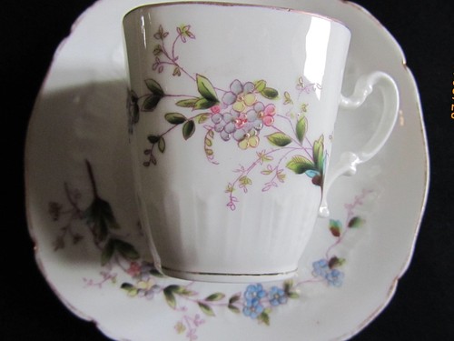 Papillon myosotis deux tasse - myosotis,