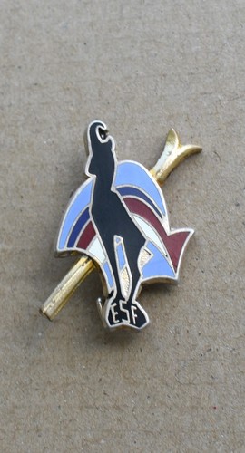 Rare bel insigne broche - rare,