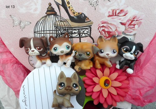 Lot petshop asbro - lot, n°