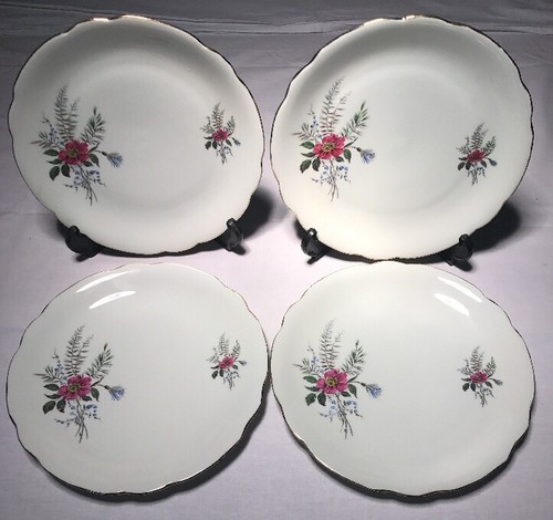 Lot2 grandes assiettes - grandes,