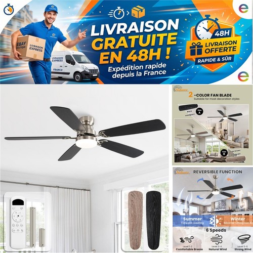 Ventilateur plafond avec - ventilateur,