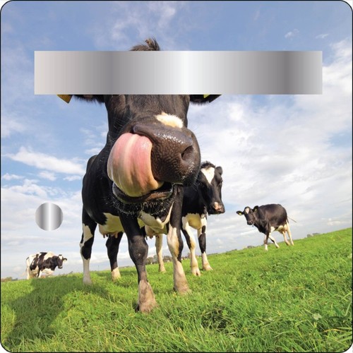 Stickers boites aux lettres - 3,