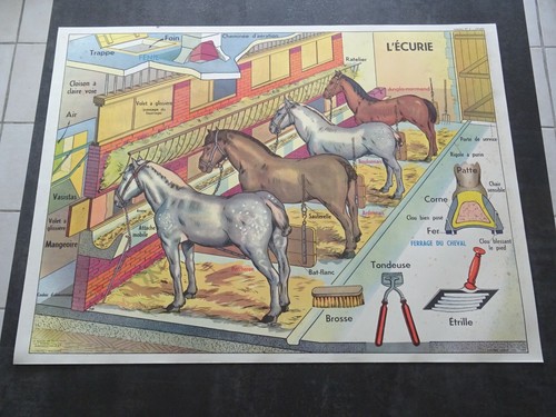 Carte affiche scolaire - carte,