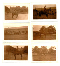 Lot photos anciennes. Lot de 6 photos militaires à cheval. 1900/1920