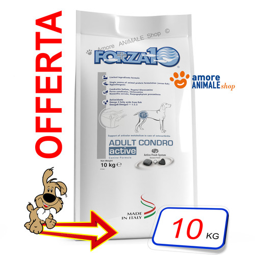 Forza10 chien active adult - forza10, →