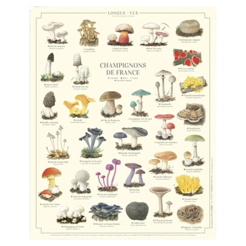 Champignons france - france,