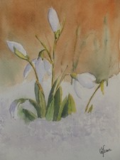 Aquarelle originale signée