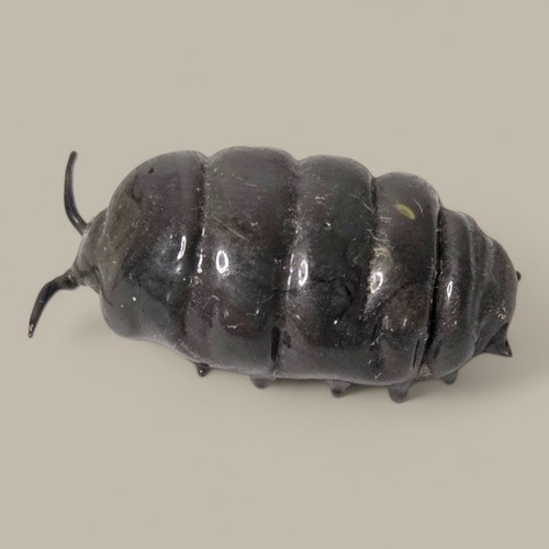Vtg murano glass isopod pill - isopod,
