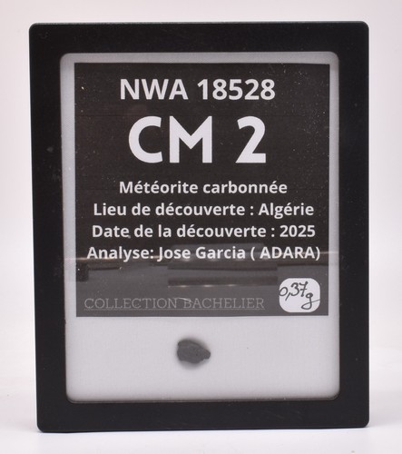 Météorite carbonée - ☄️,