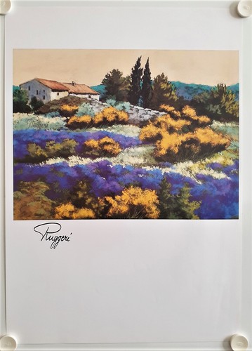 Affiche anne marie ruggeri - affiche, anne-marie
