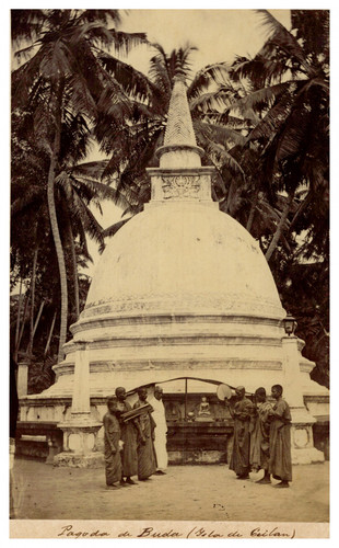 Ceylan sri lanka colombo - ceylan,,