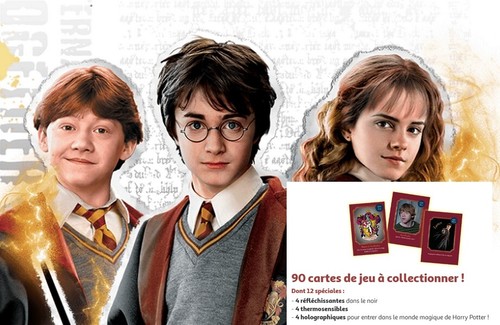 Choix carte auchan harry - carte,