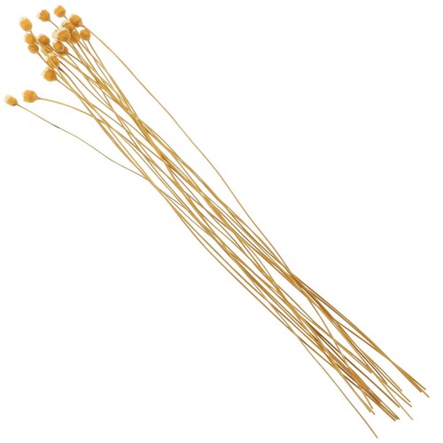 Pcs bâton diffuseur parfum - pcs,