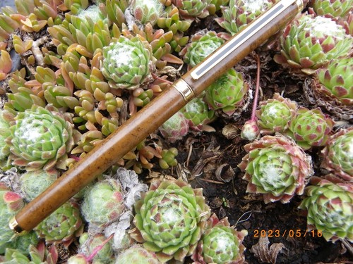 Stylo plume colibri laque - plume,