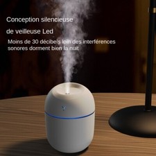Mini Humidificateur Air à Ultrasons 250ML Diffuseur Huile USB Brumisateur LED
