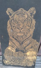 très beau dessin de tigre en carton gratté