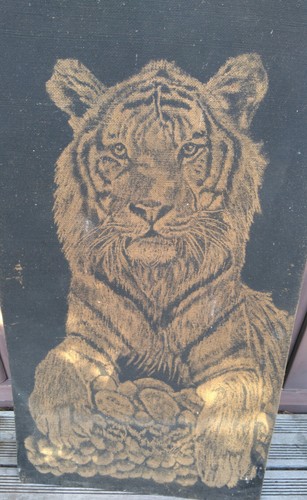 Très beau dessin tigre - beau,