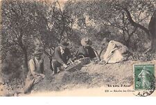 06 - n°205152 - Récolte des Olives - agriculture