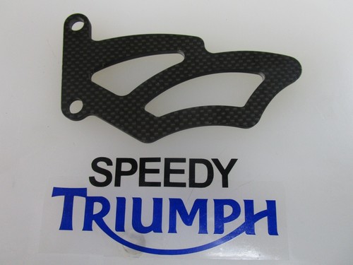 Triumph daytona 675 - arrow, rear