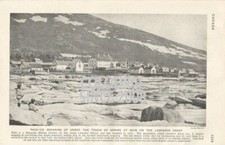 Canada labrador nain - labrador,