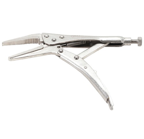 Pince etau 170 bgs technic - bgs,