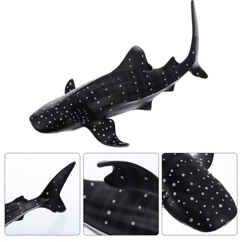 Simulation requin baleine - 1,