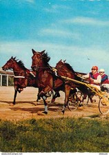 Animaux - Chevaux - Course